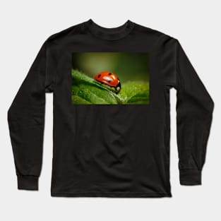 Miss Lady Bug Long Sleeve T-Shirt